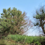 IMG_7769.JPG