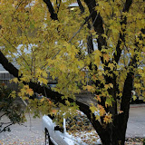 IMG_5810.JPG
