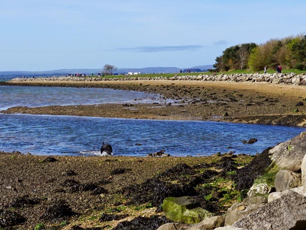 [DSC00233-1300x9776.jpg]