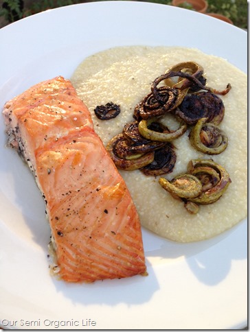 salmon 4 salmon 4