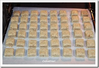 6-7-Polvorons Paco Torreblanca-Cuinadiari-8-1 6-7-Polvorons Paco Torreblanca-Cuinadiari-8-1
