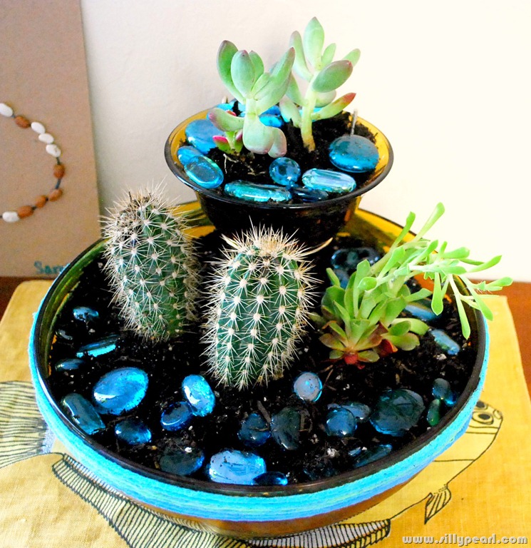 [Succulents%2520Planted%2520in%2520Retro%2520Chip%2520n%2520Dip%2520Bowl%255B5%255D.jpg]