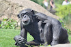 DSC_0268-1.JPG