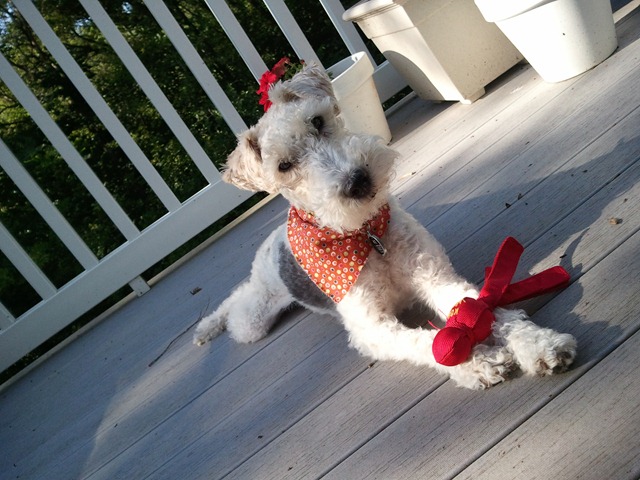 [2011-07-02_17.44.43%255B3%255D.jpg]