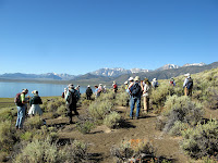 IMG_8763.JPG Photo