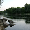 dsc03972.jpg