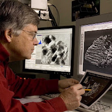 Donald Brownlee and the search for comet dust