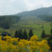 DSC_0081_2.jpg