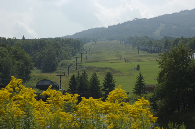 DSC_0081_2.jpg