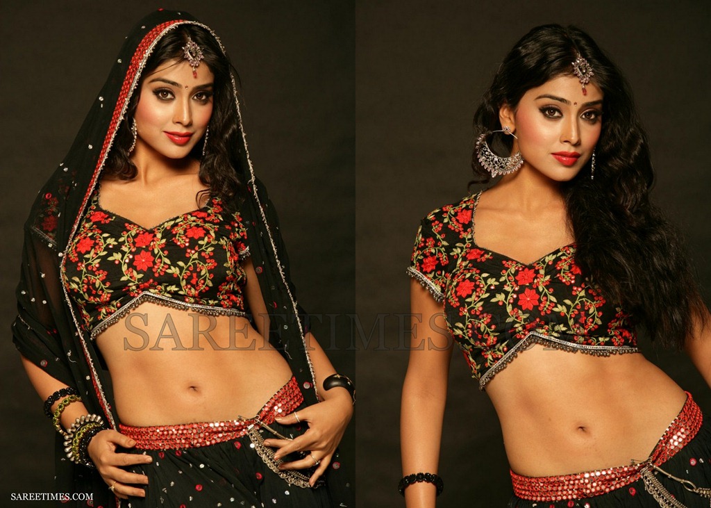 [Shriya_Lehenga_Blouse_Designs%255B4%255D.jpg]