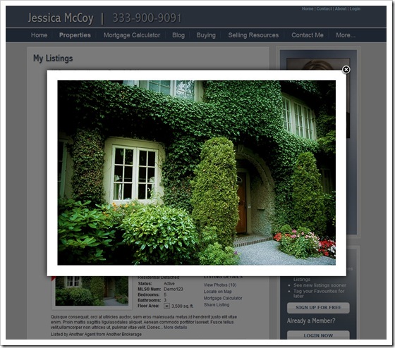 photos