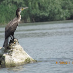IMG_1298.JPG