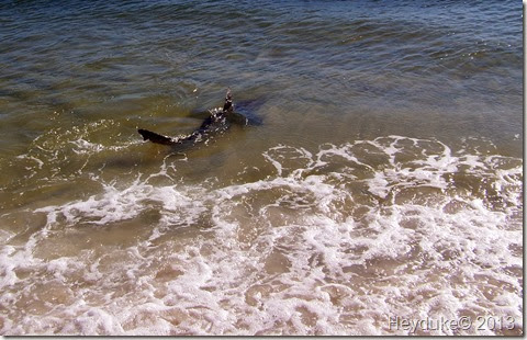 Mexico Beach FL 028