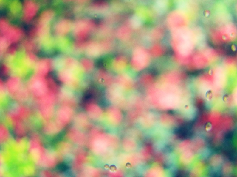 [spring%2520009%255B5%255D.jpg]
