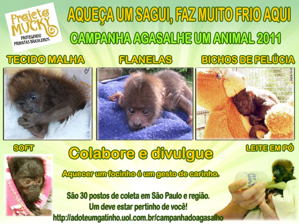 [agasalho_mucky%255B4%255D.jpg]