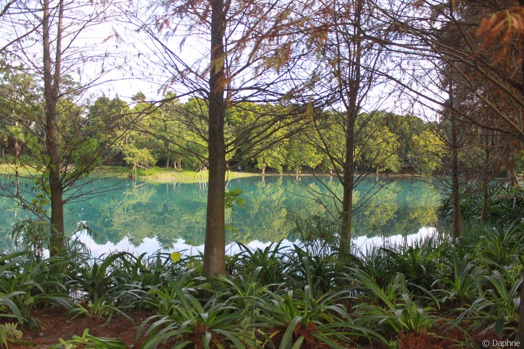 [IMG_6996%255B5%255D.jpg]