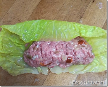 col rellena espe saavedra col rellena espe saavedra