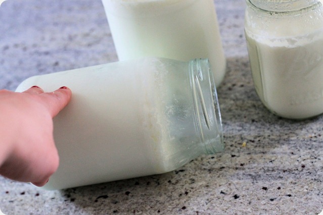 homemade_yogurt