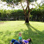 Petite pause dans l'herbe