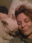 Sleeping Dogs
