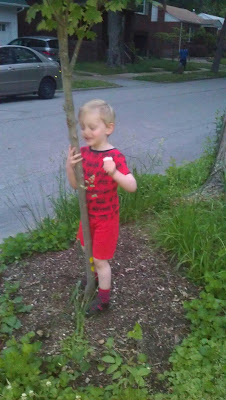 hugging a tree in the grickle grass