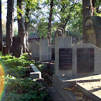 DSC00850.JPG
