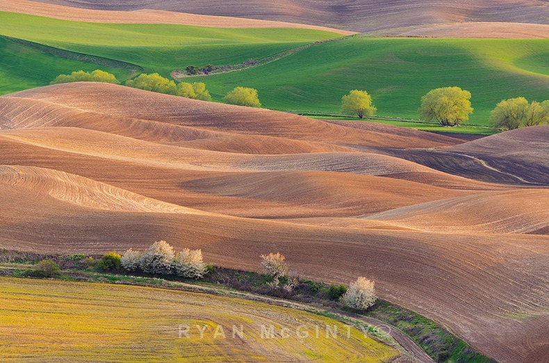 palouse-15 palouse-15