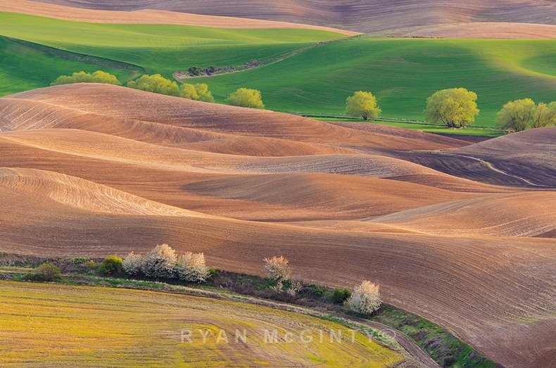 palouse-15