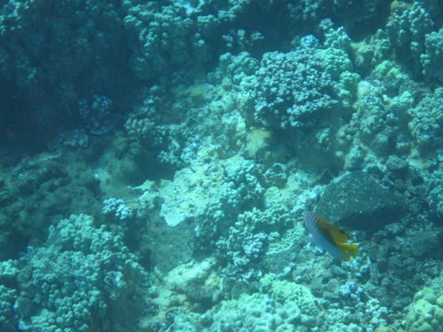 [IMG_3437%255B3%255D.jpg]