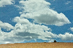 2011-08-15_130438.jpg