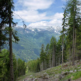 22.06.10 Nordic Walking Mühlwald Weizgurber Alm - Malga Weizgruber Molini di Tures