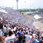 telon20.jpg