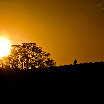 DSC_5842.jpg