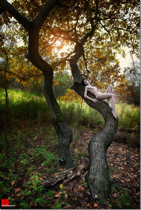 Aisii (22)
