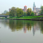 DSC_0445.JPG