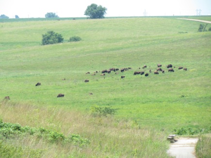 NealSmithNationalWildlifeRefuge-10-2012-06-8-09-56.jpg