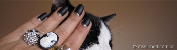 IMG_5146 IMG_5146