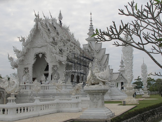 [IMG_75572.jpg]