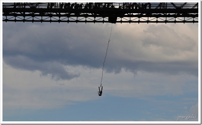 DSC_8205_01 DSC_8205_01