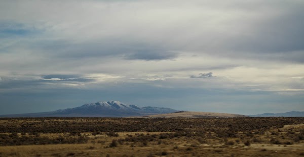 IMG_6490.jpg