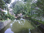 IMG00294-20090806-1455.jpg