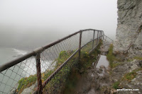IMG_9377.JPG Photo
