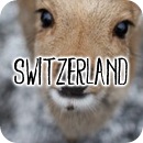 switzerland