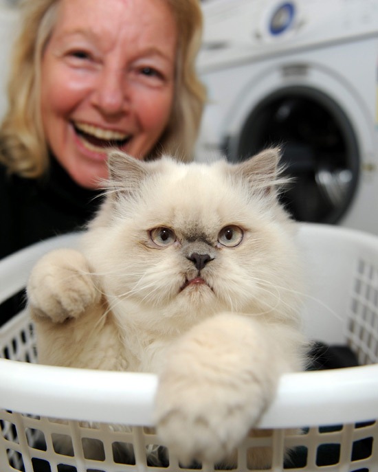 [kimba%2520sobrevivio%2520lavadora%2520%25284%2529%255B3%255D.jpg]