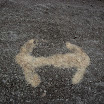 DSC_0243.jpg