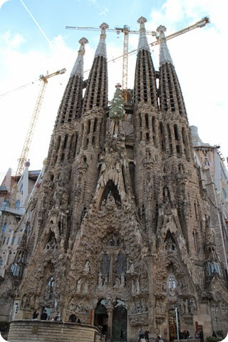 IMG_0233 IMG_0233