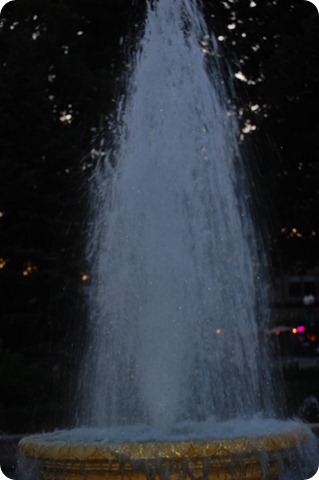 DSC_1267