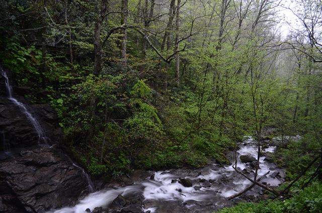 DSC_4820 DSC_4820