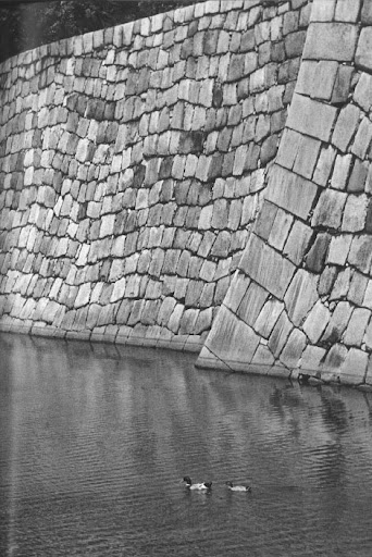 The undulating pattern of stones in this wall has me mesmerized. How fitting with the water so nearby. The undulating pattern of stones in this wall has me mesmerized. How fitting with the water so nearby.