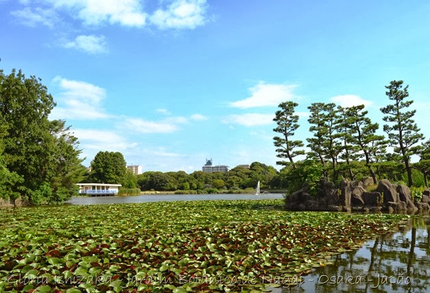 Glória Ishizaka - Jardim Botânico Nagai - Osaka 5